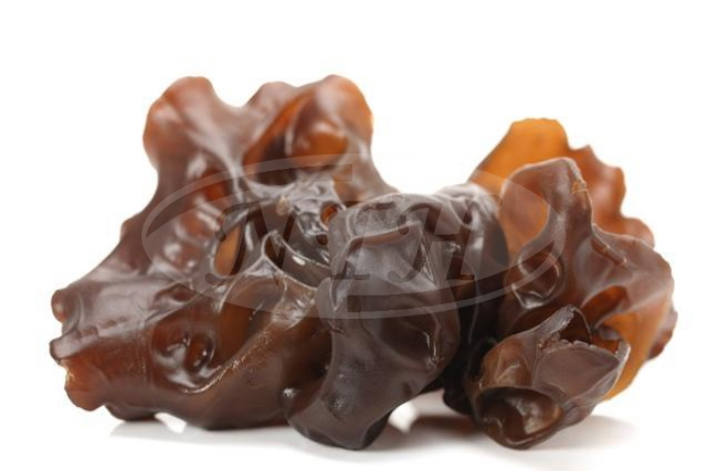 Black Fungus/ Cendawan Hitam